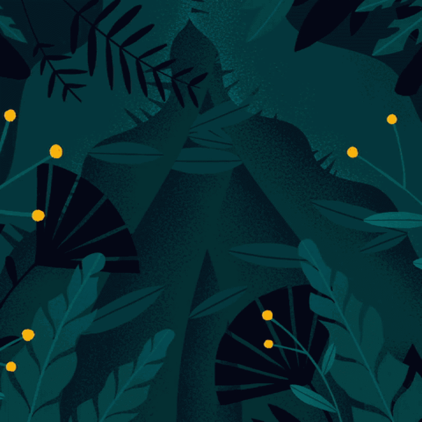Ne manquez pas le nouveau label Rainforest Alliance