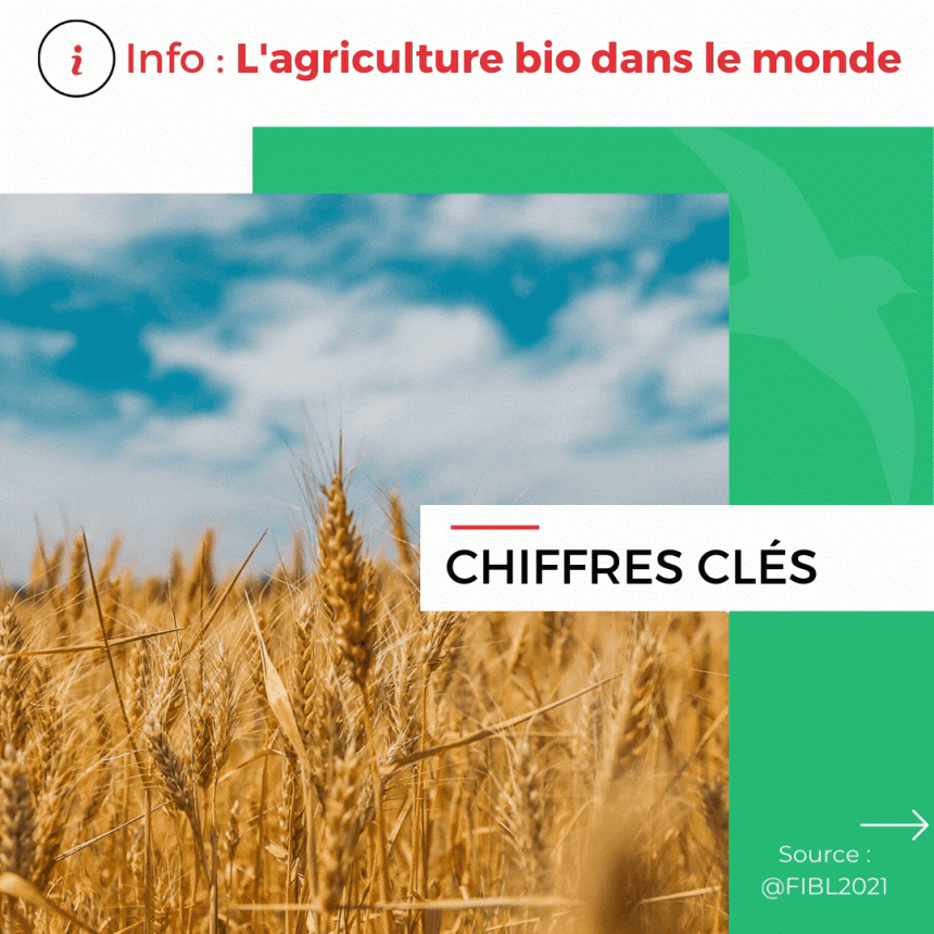 Les chiffres clés de l’agriculture biologique dans le monde 🌍