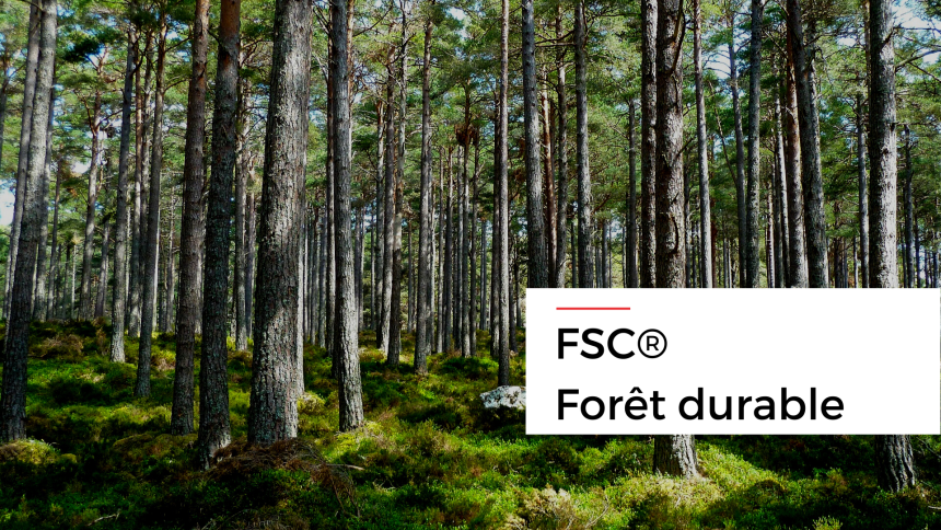 🔎 ZOOM SUR...// FSC ® – un label pour la Gestion forestière durable
