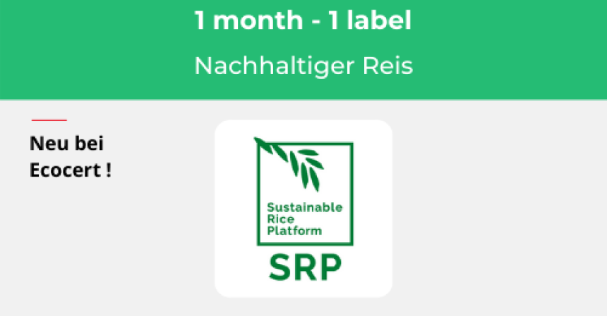 🔎 IM ZOOM...// SRP, ein Siegel für nachhaltigen Reisanbau