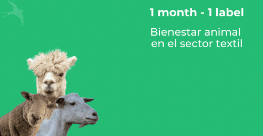 🔎 ENFOQUE EN... // RAF, la etiqueta del bienestar animal en el sector textil
