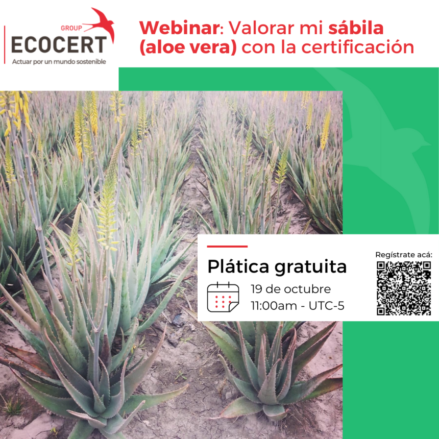 Webinar: Valorar mi sábila (aloe vera) con la certificación