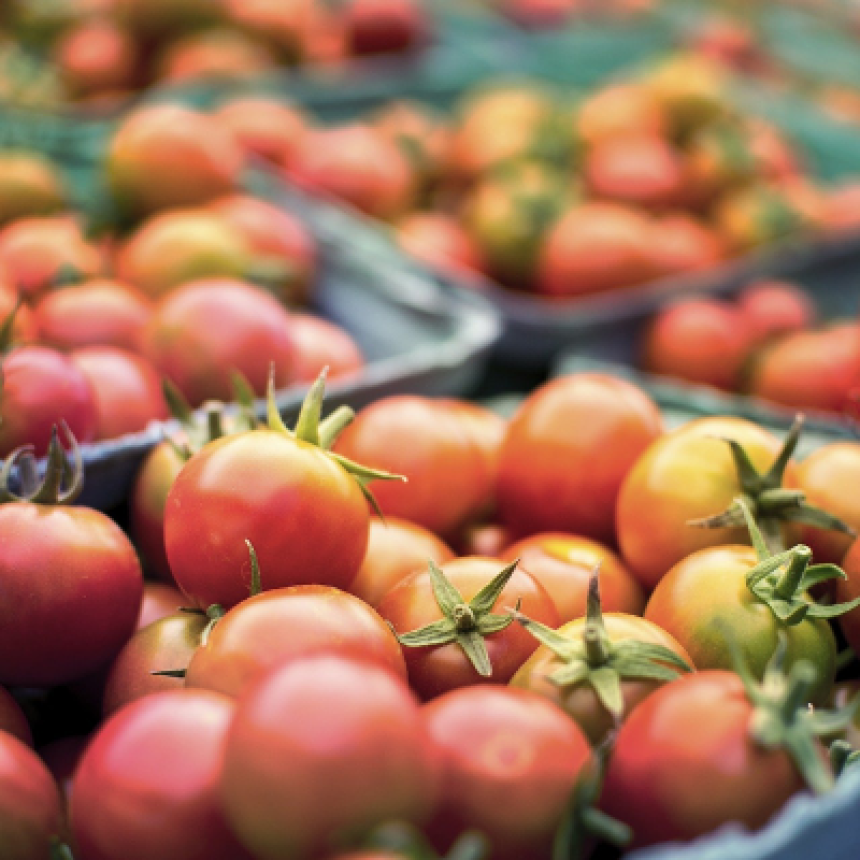 Como aumentar a produtividade na agricultura orgânica?