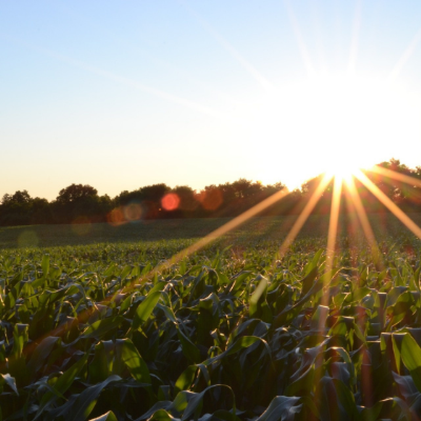 Como promover a agricultura sustentável e ganhar mais alcance no mercado?