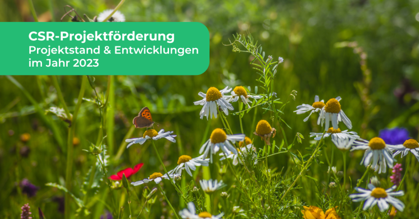CSR-Projekte: Flower Kids &amp; Urban Gardening