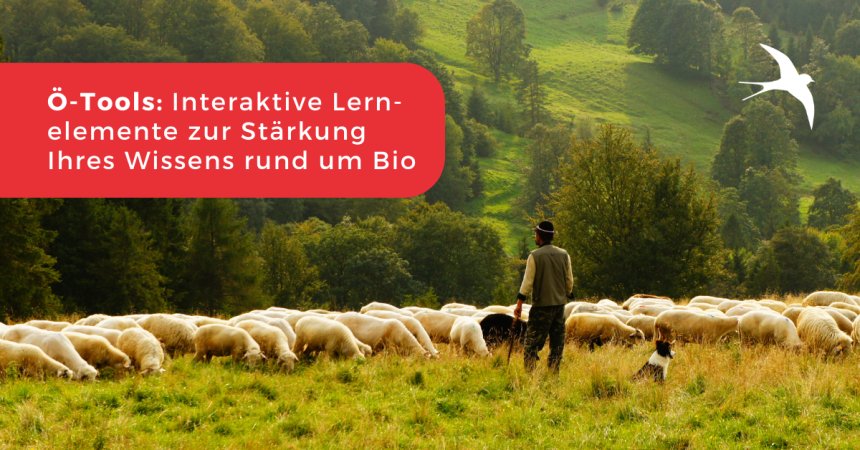 Ö-Tools: Interaktive Tools zur Wissenserweiterung