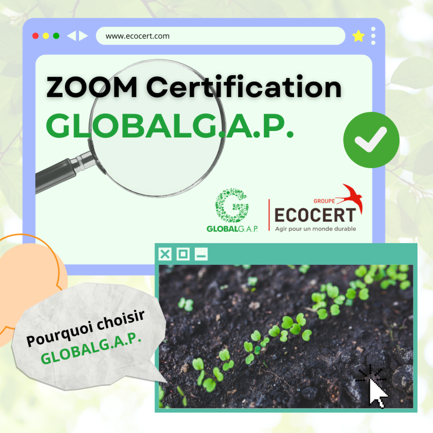✅ ZOOM CERTIFICATION: GlobalGAP ✅